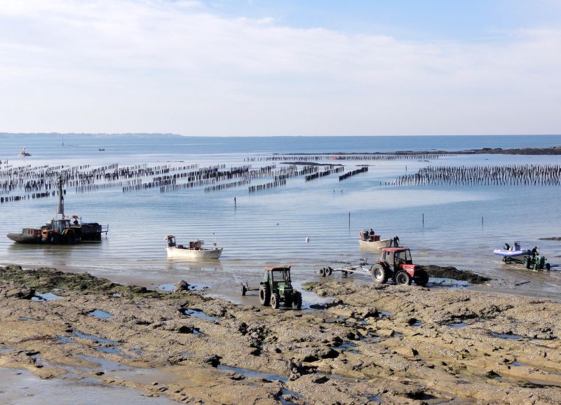 Pointe du Bile