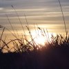 20101017_191423_082