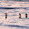 20100614_203411_054