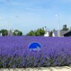 20100616_145744_001