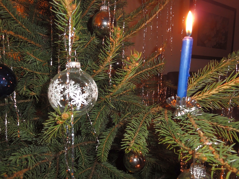 Der Baum leuchtet