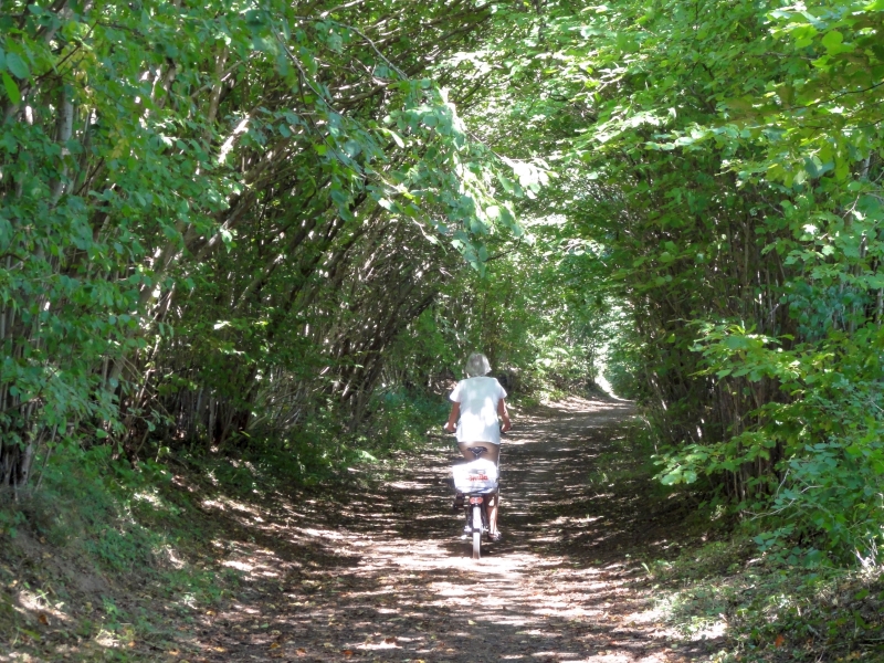 wer reitet durch den Wald?