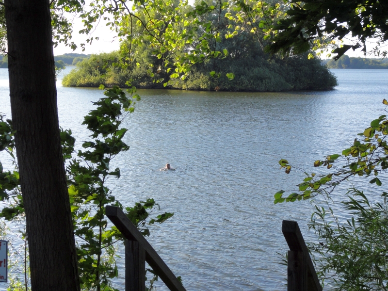 Abkühlung im See