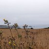 20160919_114637_90