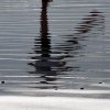 20160919_171518_120