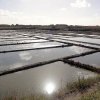 20160925_110019_41