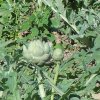 20160909_105219_02