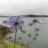 20160915_140516_164