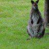 20160702_185310_11