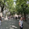 20160713_155220_61