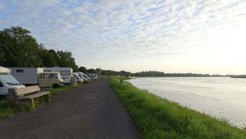 Erwachen am Rhein