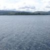 20190720_121418_75