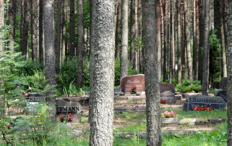 Friedhof im Wald von Tallin