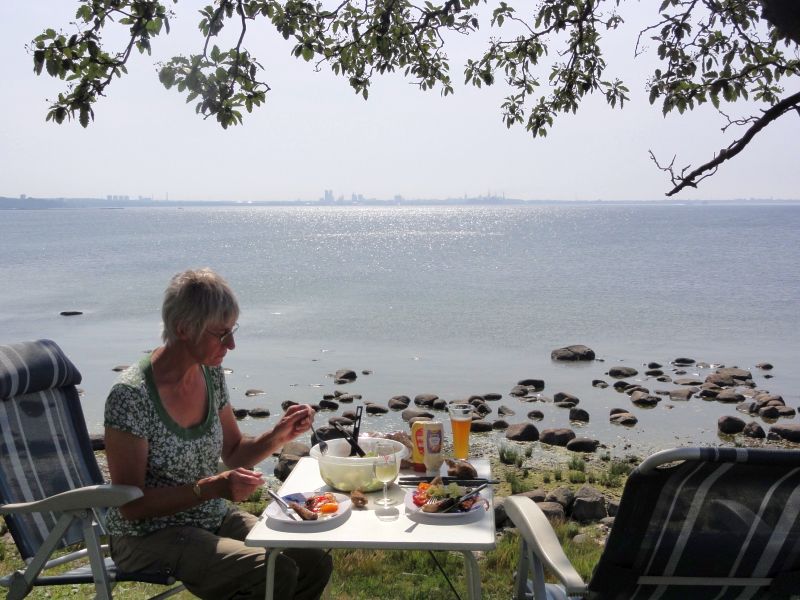 Grillieren am Meer, Tallin im Hintergrund