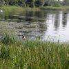 20100803_182719_110