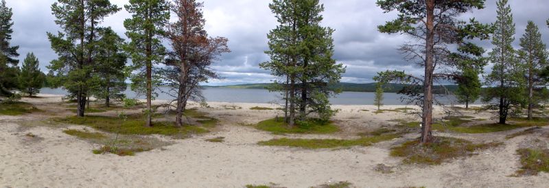Bäume und Wasser