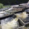 20100701_114956_008