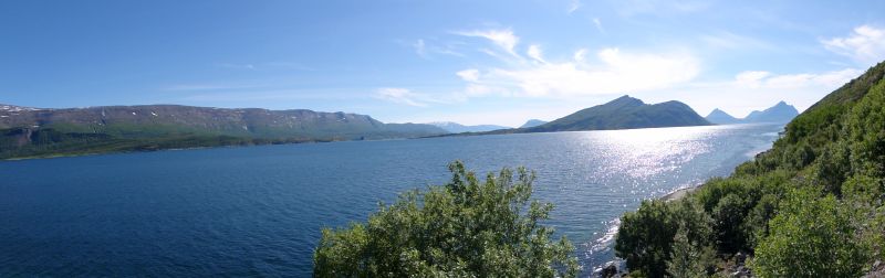 Sjonafjord