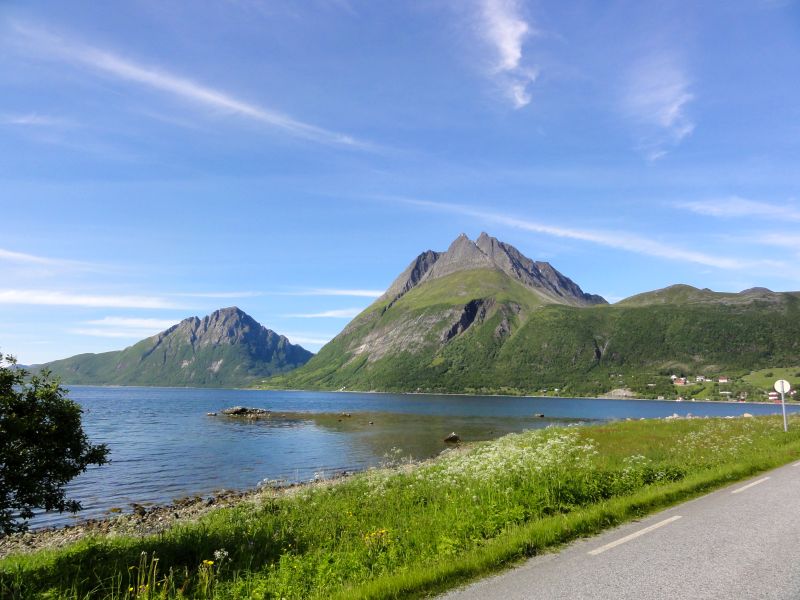Sjonafjord