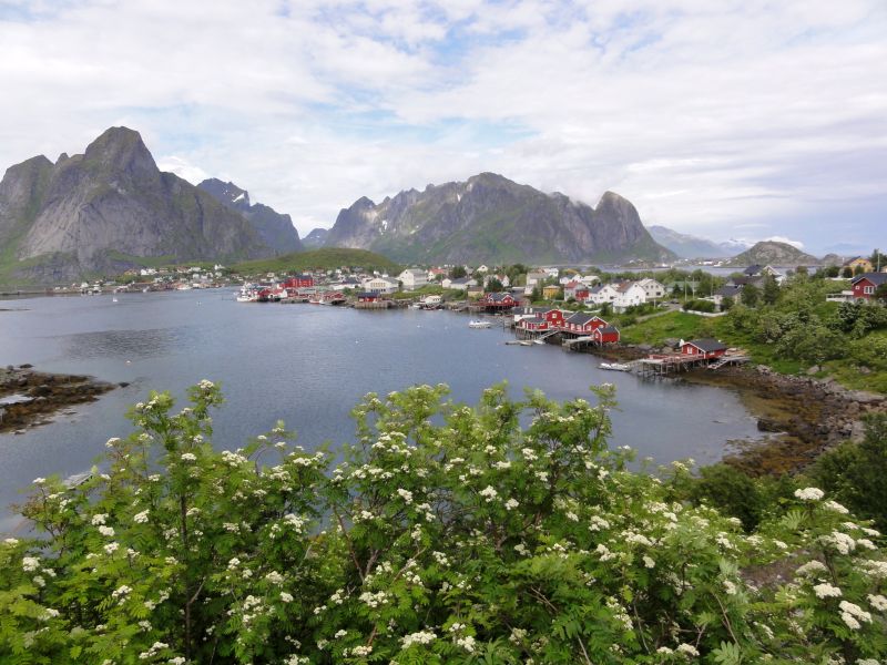 Reine