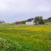20100705_102339_004