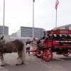 20100723_171514_007
