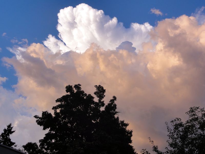 Ein Gewitter formiert sich