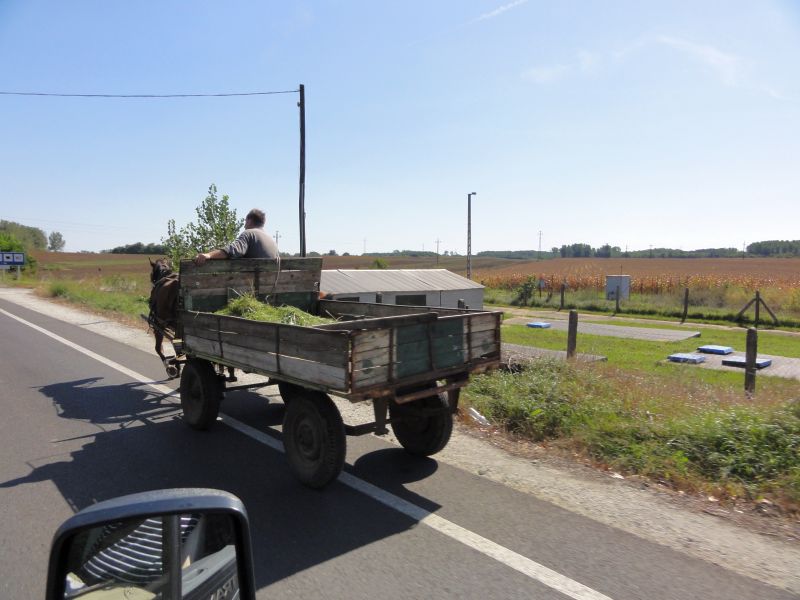 Pferdekarren auf Rumäniens Strassen