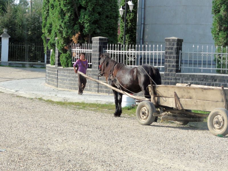 von Hufen geweckt