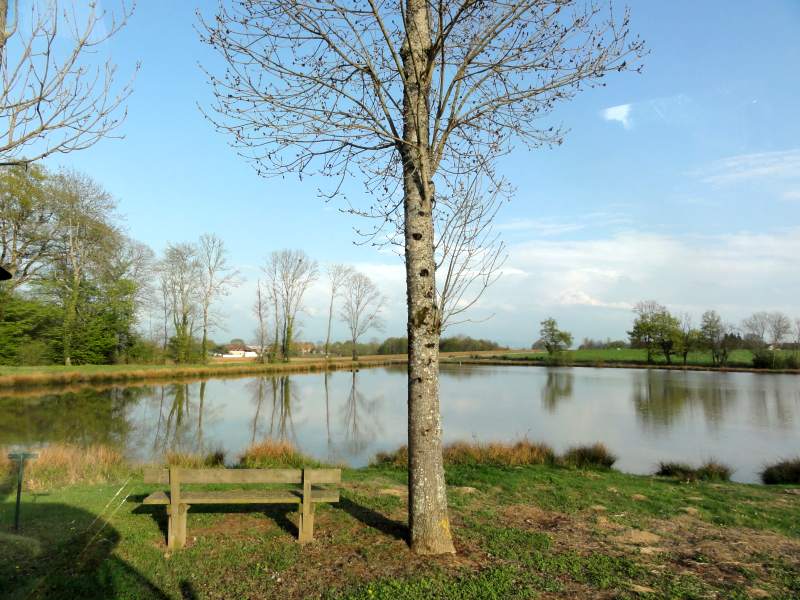 Übernachten am Teich