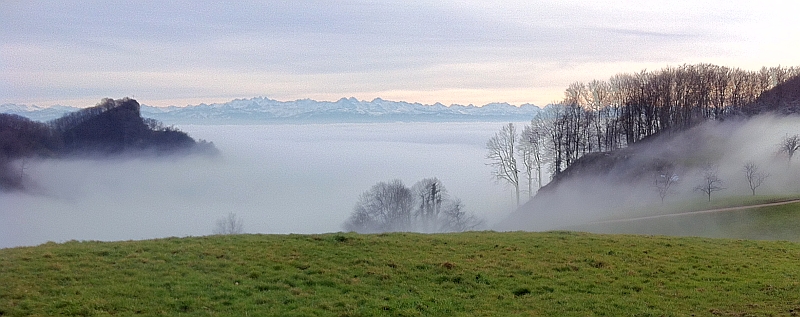 über dem Nebel