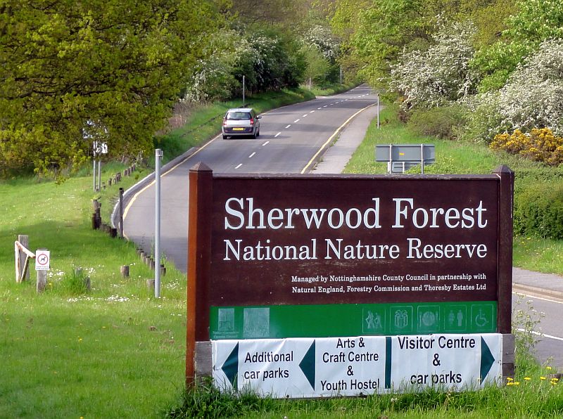 Sherwood Forest 