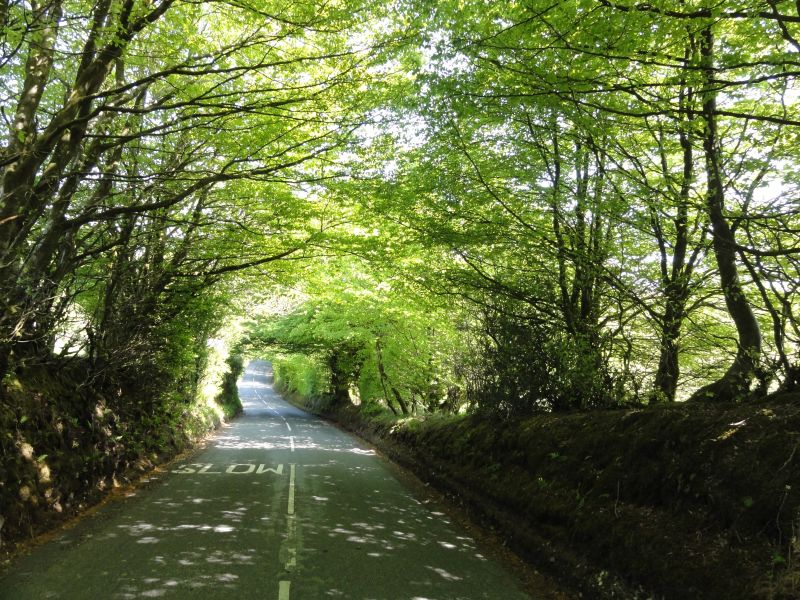 Exmoor Nationalpark