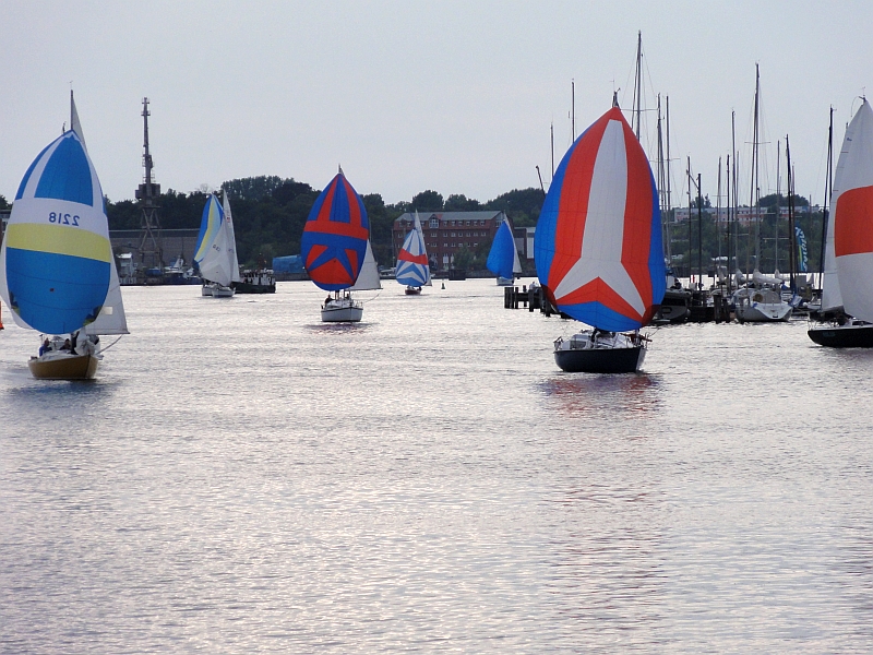 Regatta in Rostock