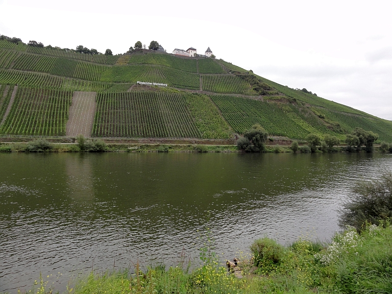 Pünderich an der Mosel
