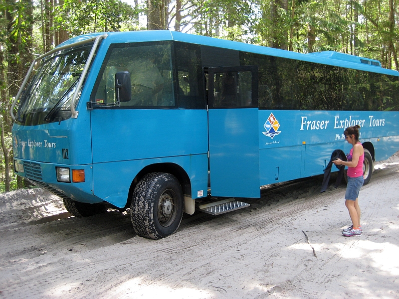 in diesem Bus werden wir durchgeschüttelt