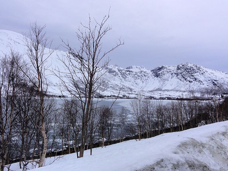 Das Eis im Fjord bricht auf