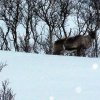 20160216_163921_10
