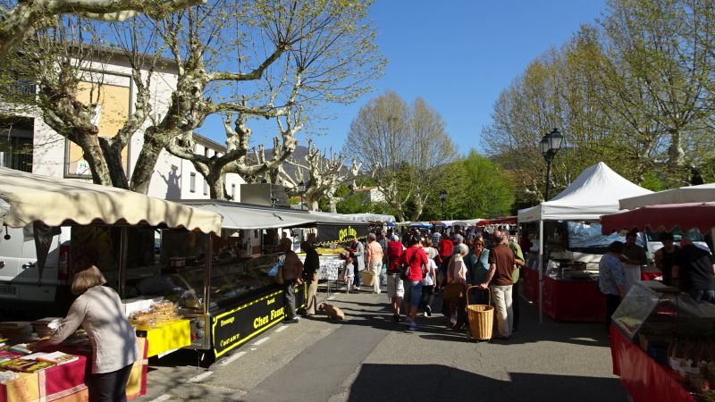 provenzialischer Markt in Dieulefit