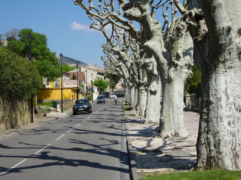 Baumes de Venise