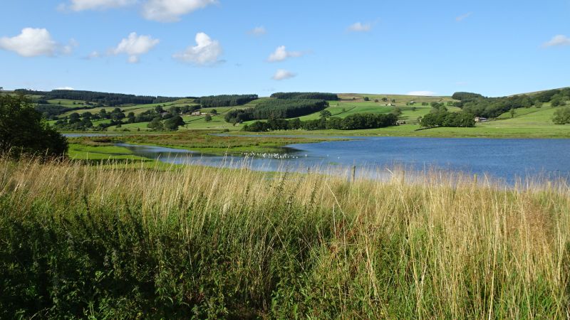 Gouthwaite Reservoir