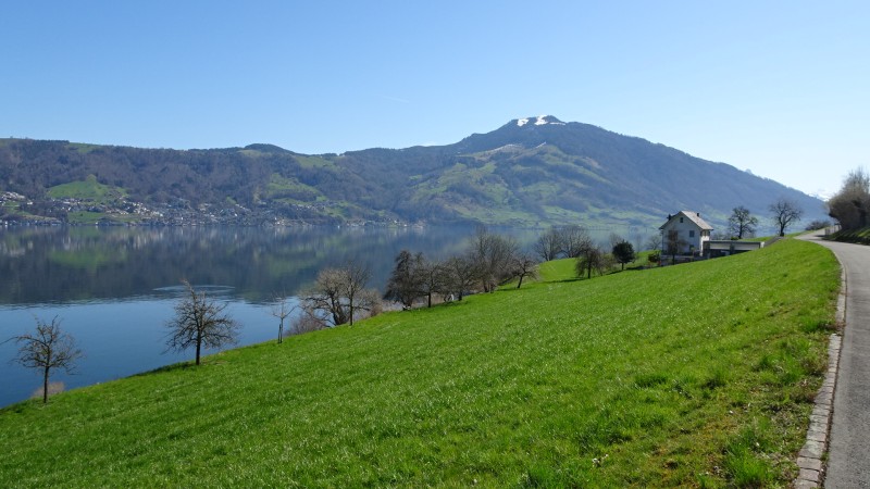 am Zugersee