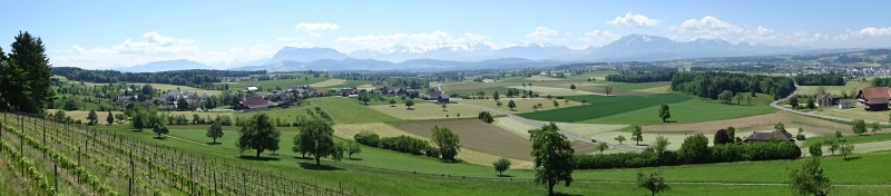 Ausblick Hohenrain