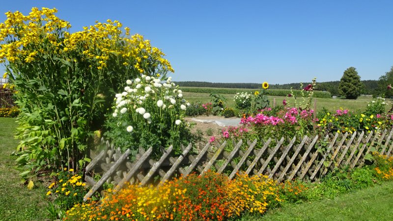 schöner Garten