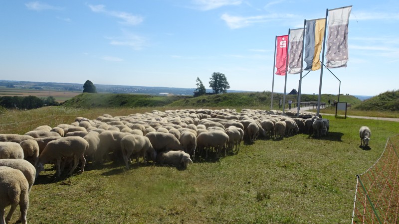 keltische Siedlung Heuneburg