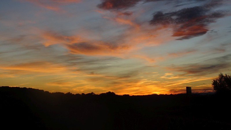 Sunset beim Weinbauern