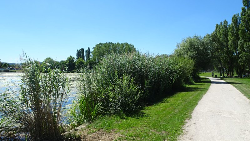 Lac de Vesoul-Vaivre