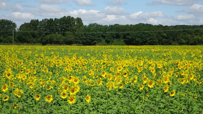 herrliche Landschaft