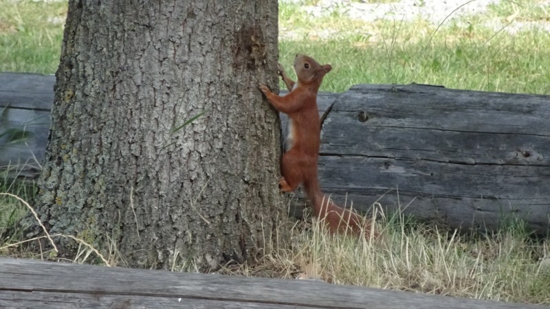 Besuch auf dem Stellplatz