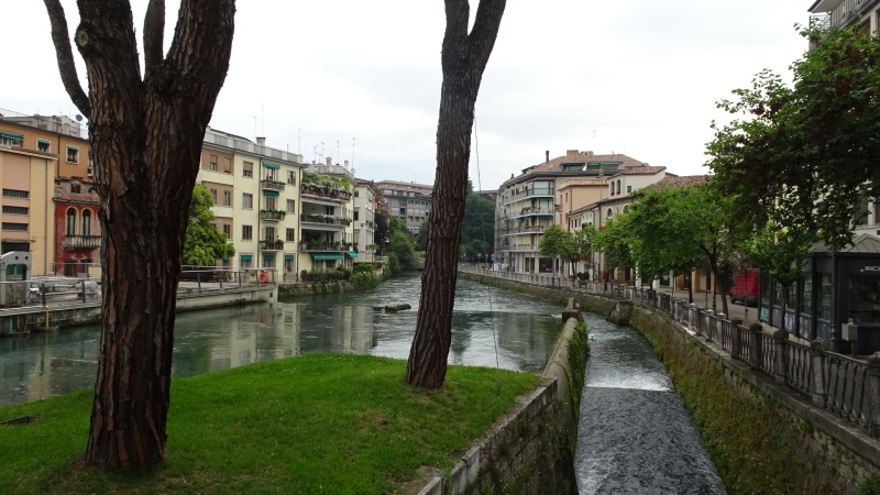 Treviso